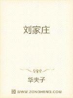 刘家庄村简介