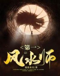 第一风水师第二部