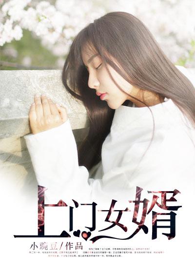 上门女婿王浩李洁 完整版