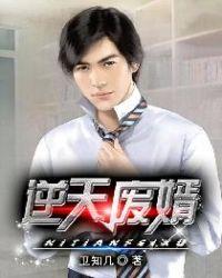 逆天废婿免费听