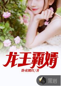 龙王霸婿李沉央免费