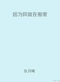 因为风就在那里讲的啥