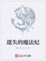 被遗忘的魔法师