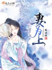 妻为上君为上有什么关系