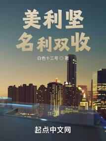 美利坚名利双收加料版