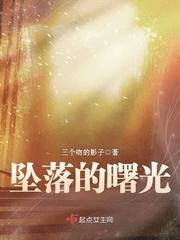 失落的曙光攻略