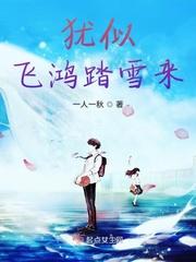 应似飞鸿踏雪泥比喻什么