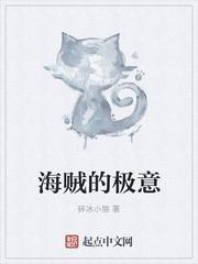海贼d的含义