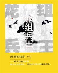 龙组兵王林初雪第一次